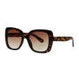 Spectrum Zonnebril Statement Vlinder Tortoise Bruin Glas Dames