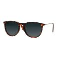 Spectrum Zonnebril Tortoise Goud Smoke Glas Unisex