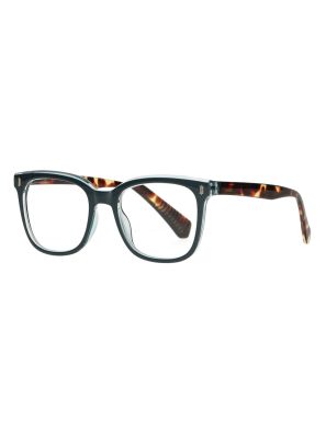 Spectrum Leesbril Blauw/Havana 2.00